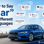 How to Say "car" in Different Languages