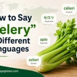 How to Say "Celery" in Different Languages
