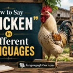 How to Say “Chicken” in Different Languages