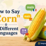 How to Say “Corn” in Different Languages