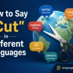 How to Say "Cut" in Different Languages