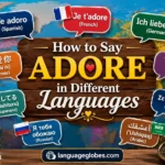 How to Say Adore in Different Languages