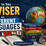 How to Say Adviser in Different Languages