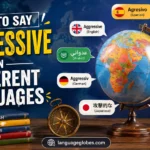 How to Say Aggressive in Different Languages