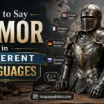 How to Say Armor in Different Languages