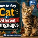 How to Say Cat in Different Languages
