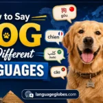 How to Say Dog in Different Languages