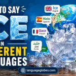 How to Say Ice in Different Languages