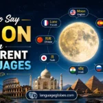 How to Say Moon in Different Languages
