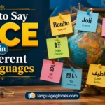 How to Say Nice in Different Languages