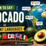 How to Say Avocado in Different Languages
