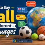 How to Say Ball in Different Languages