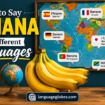 How to Say Banana in Different Languages