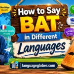 How to Say Bat in Different Languages