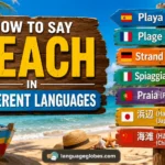 How to Say Beach in Different Languages