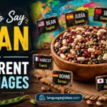 How to Say Bean in Different Languages