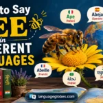 How to Say Bee in Different Languages