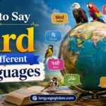 How to Say Bird in Different Languages