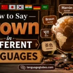How to Say Brown in Different Languages