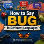 How to Say Bug in Different Languages