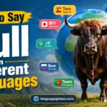 How to Say Bull in Different Languages