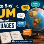 How to Say Bum in Different Languages