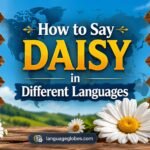 How to Say Daisy in Different Languages