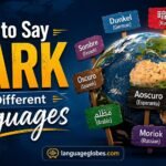 How to Say Dark in Different Languages