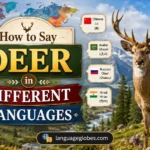 How to Say Deer in Different Languages