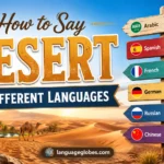 How to Say Desert in Different Languages