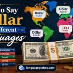 How to Say Dollar in Different Languages