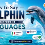 How to Say Dolphin in Different Languages