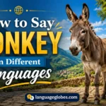How to Say Donkey in Different Languages