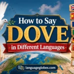 How to Say Dove in Different Languages