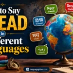 How to Say Dread in Different Languages