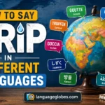 How to Say Drip in Different Languages