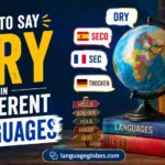 How to Say Dry in Different Languages