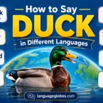 How to Say Duck in Different Languages