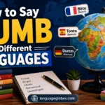 How to Say Dumb in Different Languages