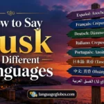 How to Say Dusk in Different Languages