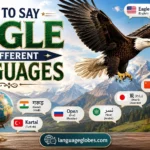 How to Say Eagle in Different Languages