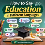 How to Say Education in Different Languages
