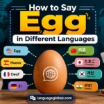 How to Say Egg in Different Languages