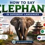 How to Say Elephant in Different Languages