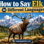 How to Say Elk in Different Languages
