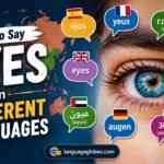 How to Say Eyes in Different Languages